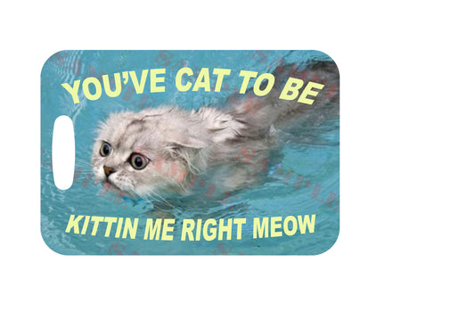 Kittin Me Right Meow